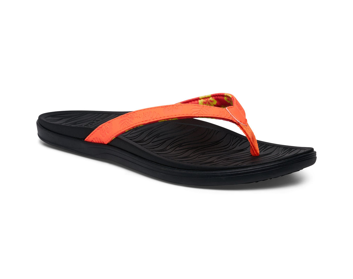 Coral Hawaii,5
