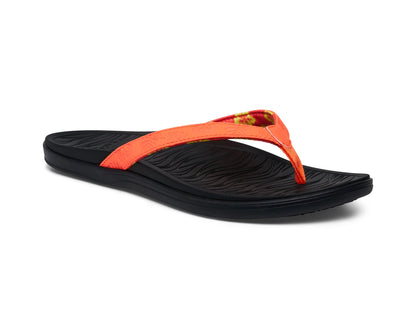 Coral Hawaii,5