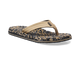 Safari Multi