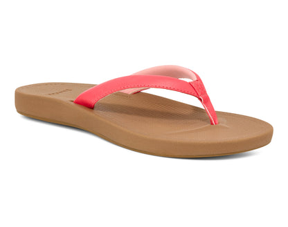 Sugar Coral,5