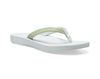 Laurel Green/Spa Blue