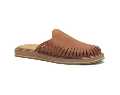 Chestnut,5
