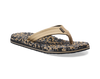 Safari Multi