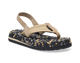 Safari Multi