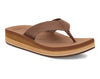 Brown01